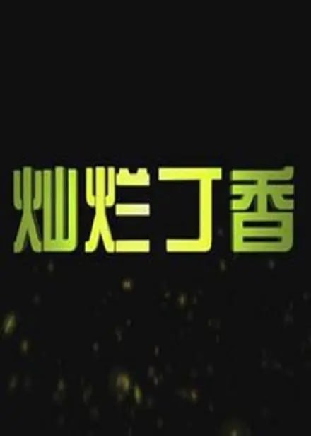 灿烂丁香 2011(全集)