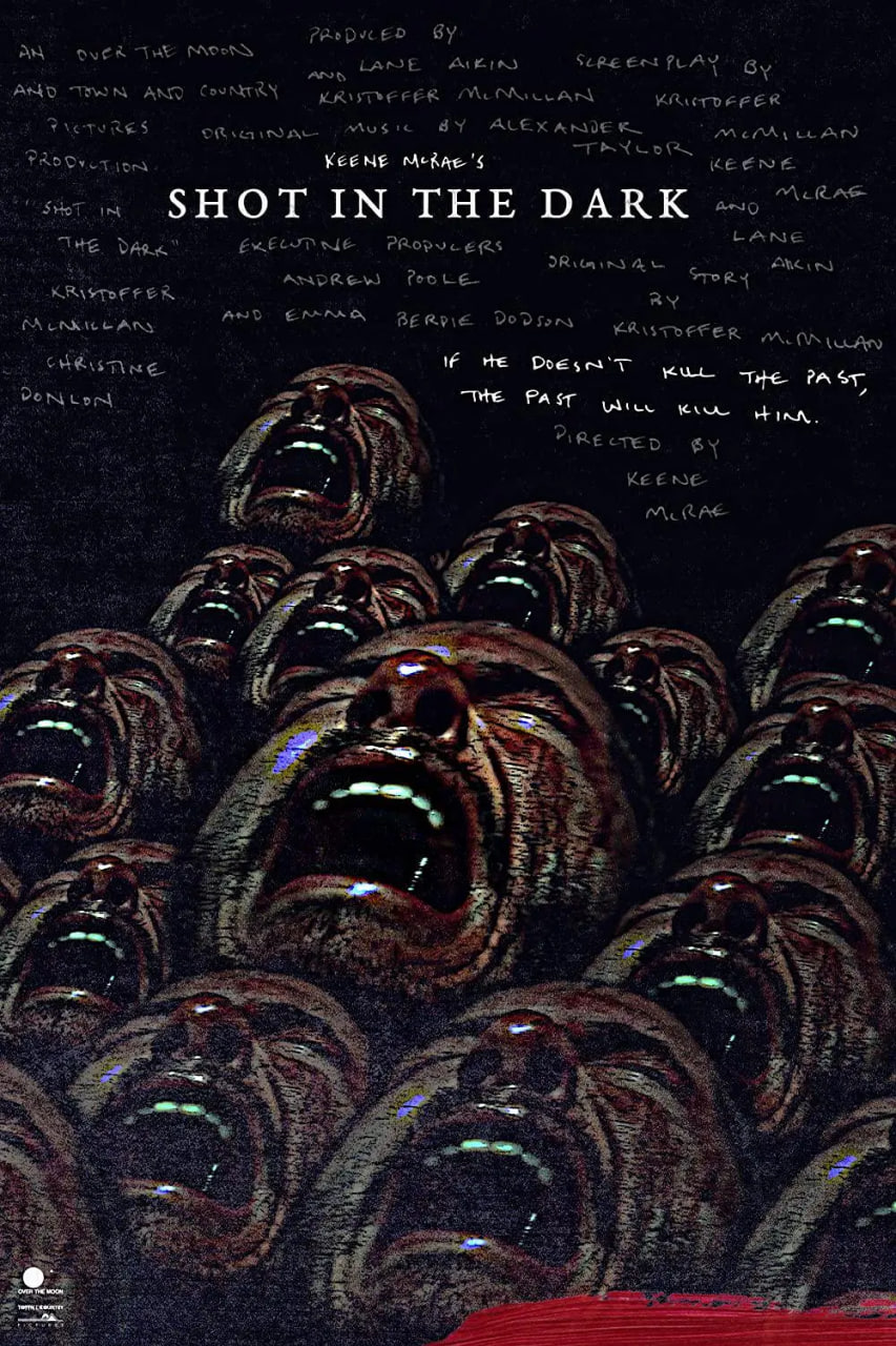 暗中一枪(全集)