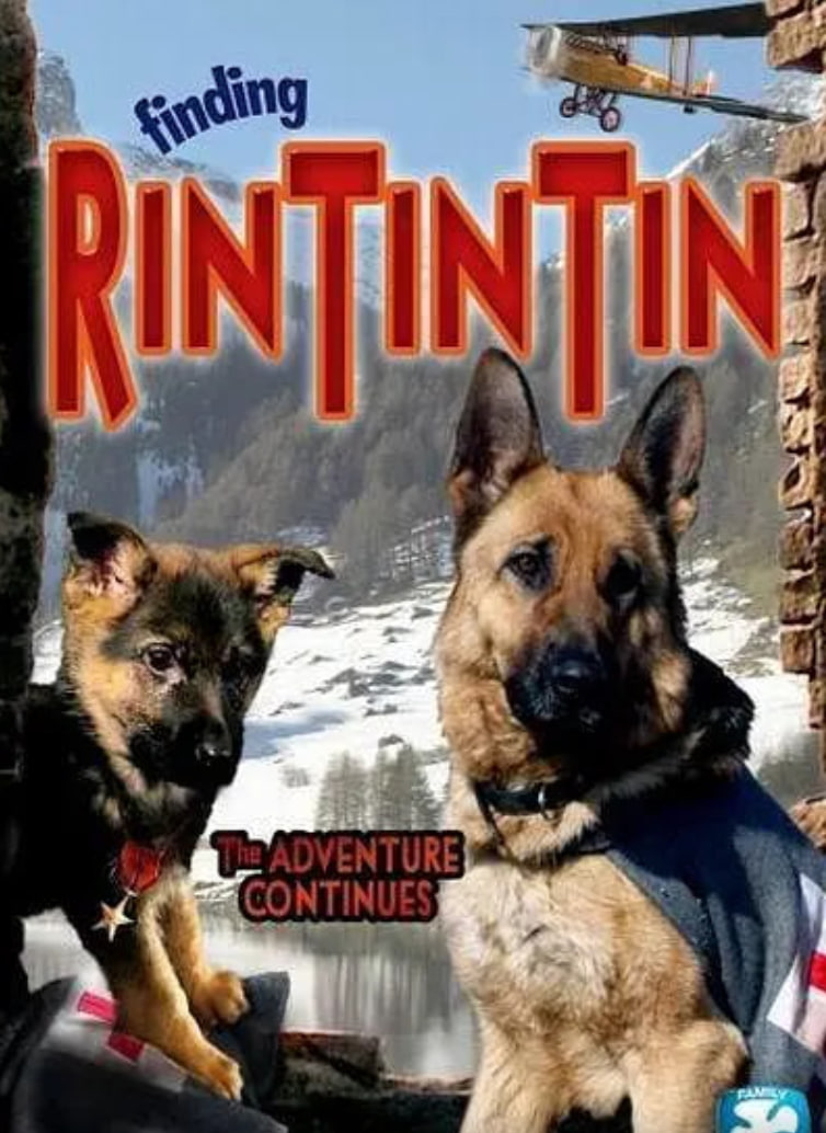 发现任丁丁(全集)