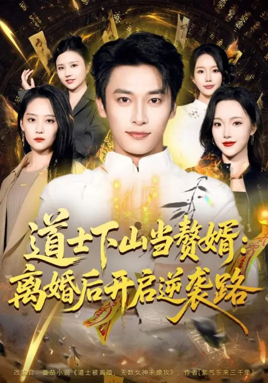 道士下山当赘婿(全集)