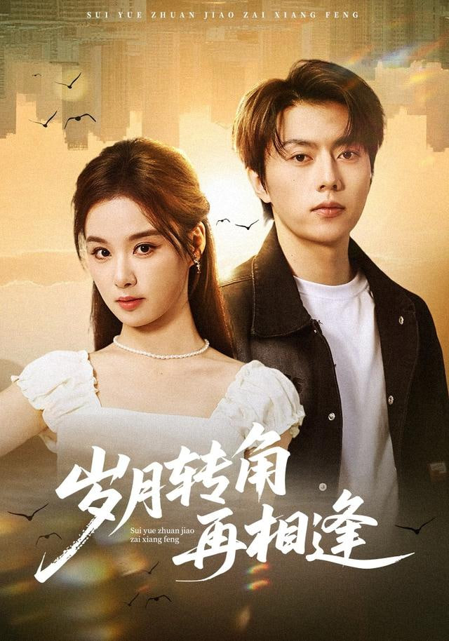 岁月忽已暮，潇潇归来时(全集)