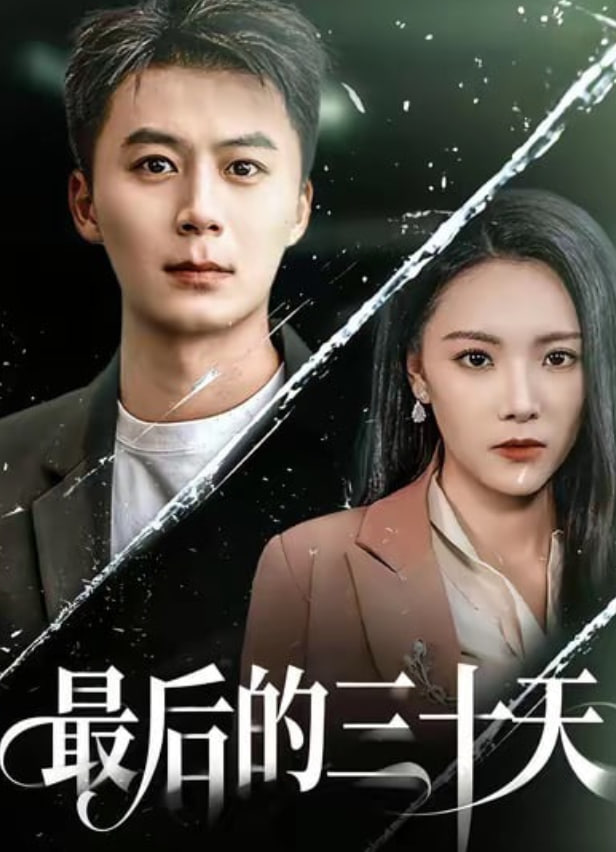 最后的三十天(全集)