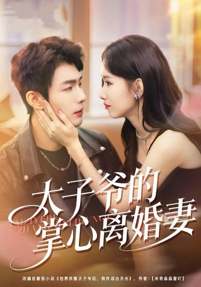 太子爷的掌心离婚妻(全集)