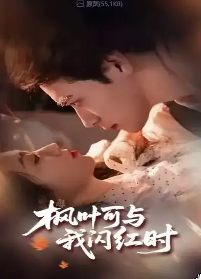 枫叶可与我闪红时(全集)