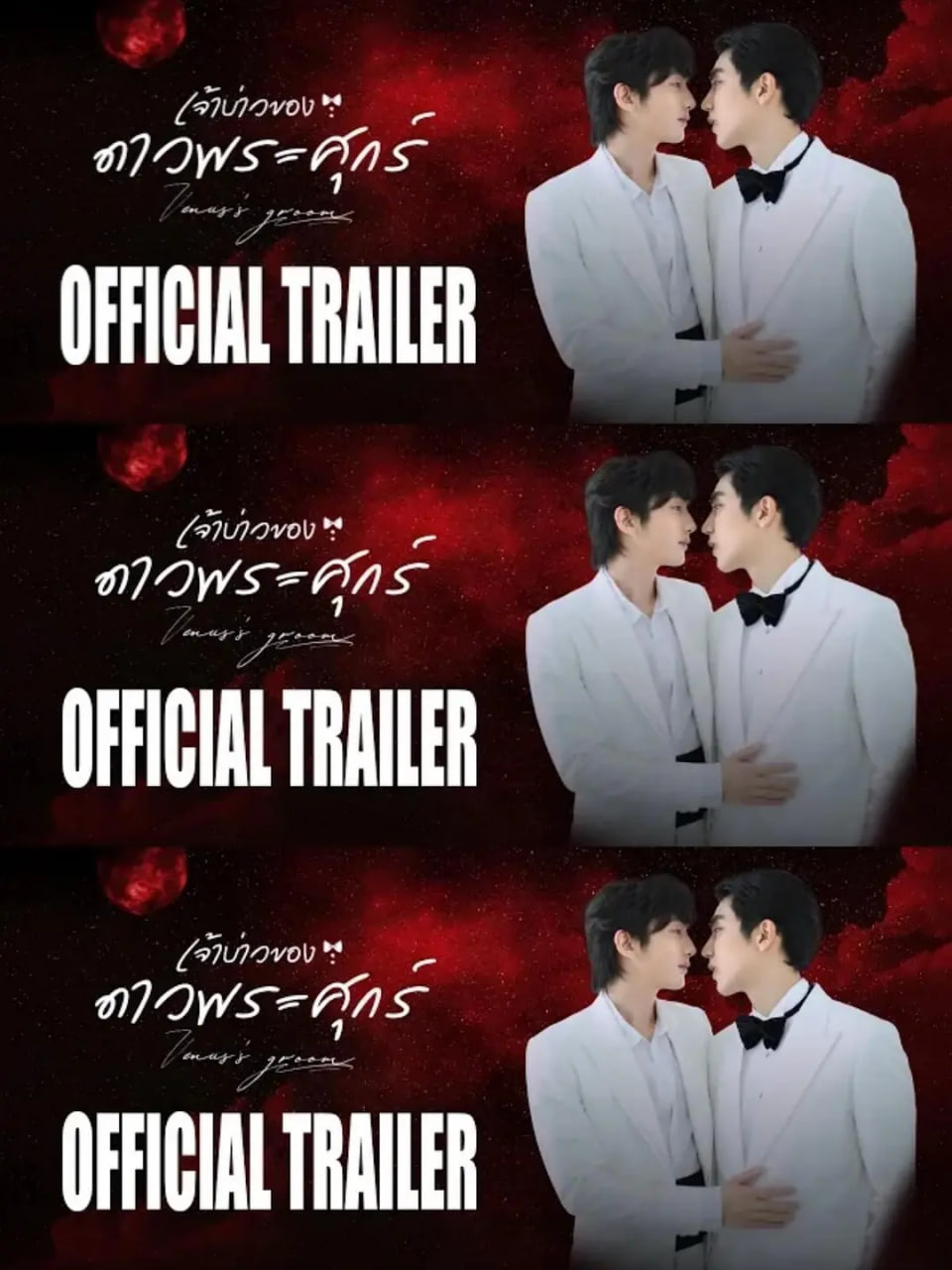 维纳斯的新郎(全集)