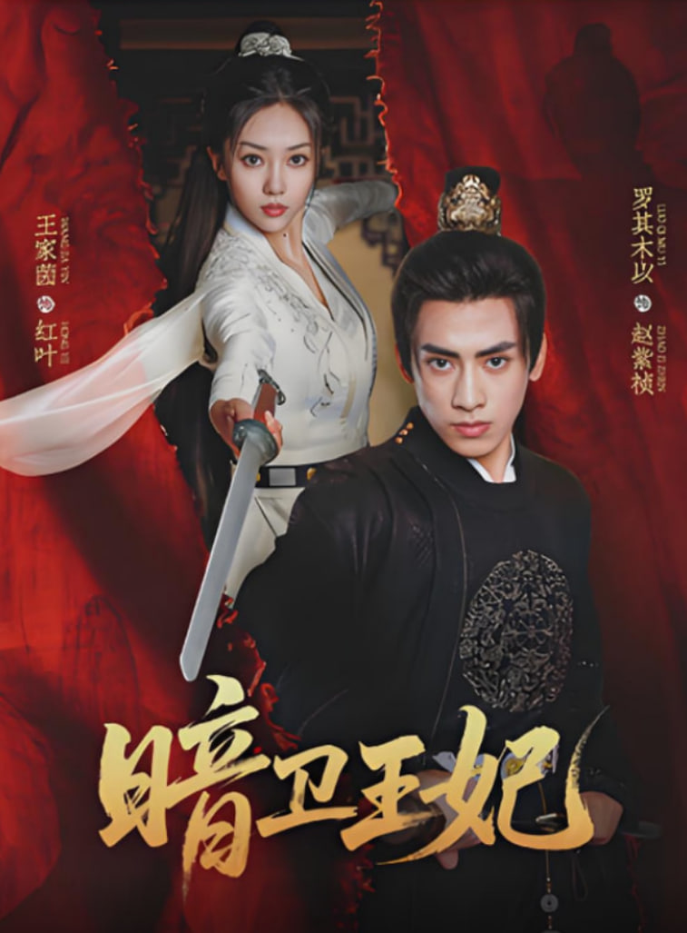 暗卫王妃(全集)