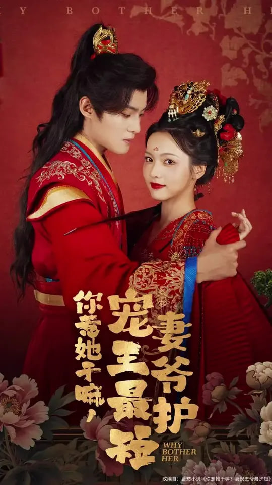 你惹她干嘛，宠妻王爷最护(全集)